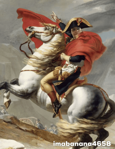 Napoleon GIF