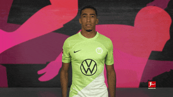 Vfl Wolfsburg Shut Up GIF by Bundesliga