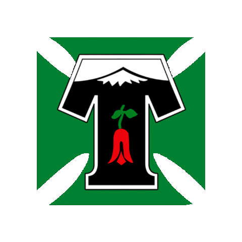 Club Deportes Temuco Sticker