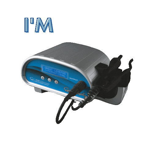 Great Lengths Hair Extensions Sticker