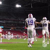 Excited Buffalo Bills GIF by NFL