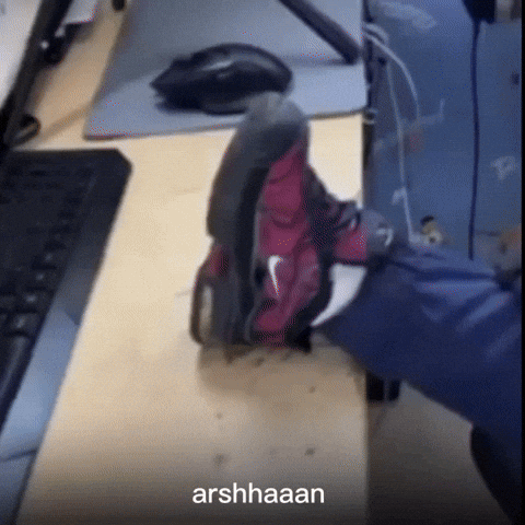Dog Arshan GIF