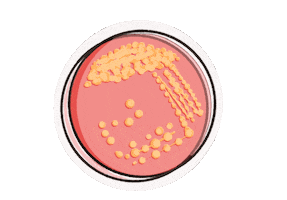 Zozamood Sticker