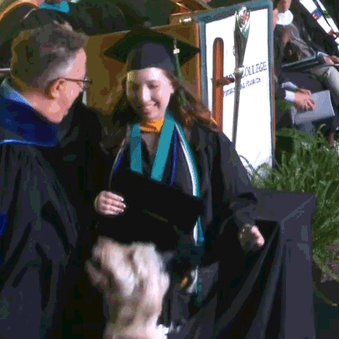 Dog Graduation GIF by Eckerd College