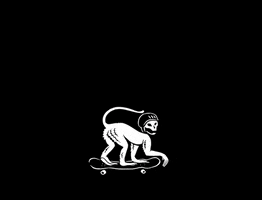 Monkey Skateboard GIF by Hangar Darwin