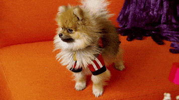 big ang television GIF by RealityTVGIFs