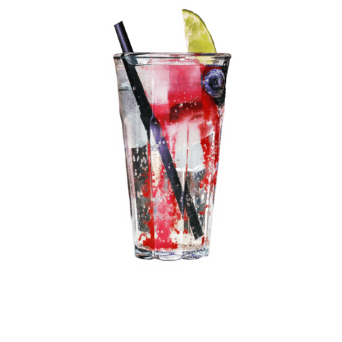 Dis Noordkade Sticker