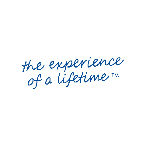 The Experience Of A Life Time Sticker by ISSOS