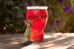 Fieldwork Brewing Company GIF