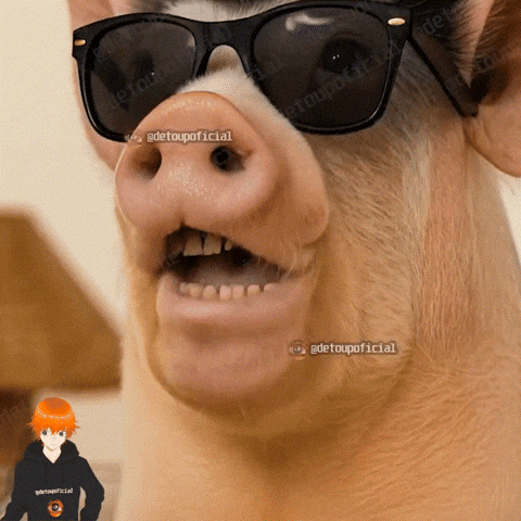 Cerdo GIF