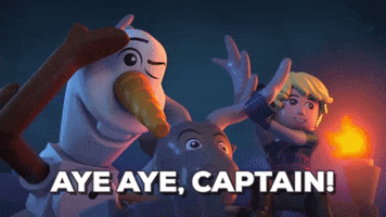 northern lights disney GIF by LEGO