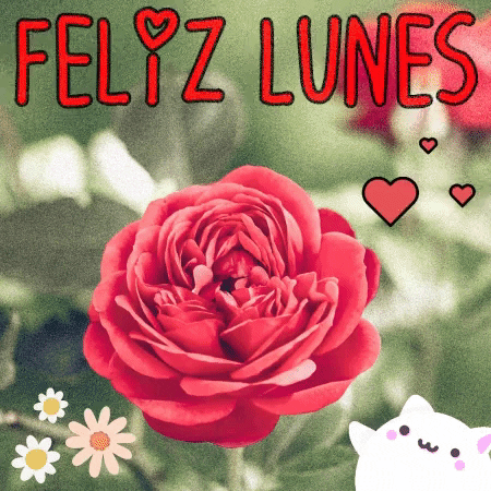 Buenos Dias GIF