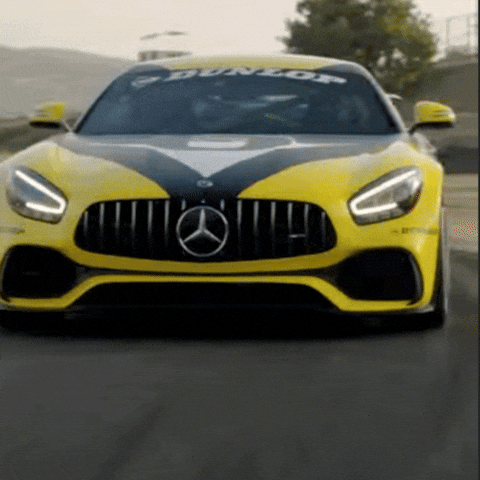 Racing Race GIF by Dunlop Tire NA