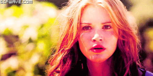 holland roden