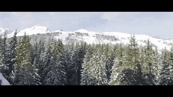 France Winter GIF by Casol