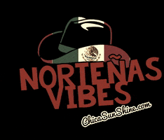 Musica Mexicana Mexican Music GIF by ChicaSunshineShop