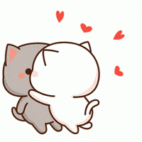 Love Cat Gifs Get The Best Gif On Giphy Love Cat Gifs Get The Best Gif On Giphy