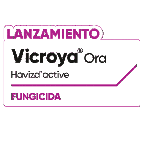 Vicroya Sticker by Cortevapy