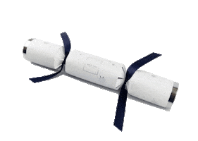 Christmas Cracker Sticker by Obagi UK & Ireland