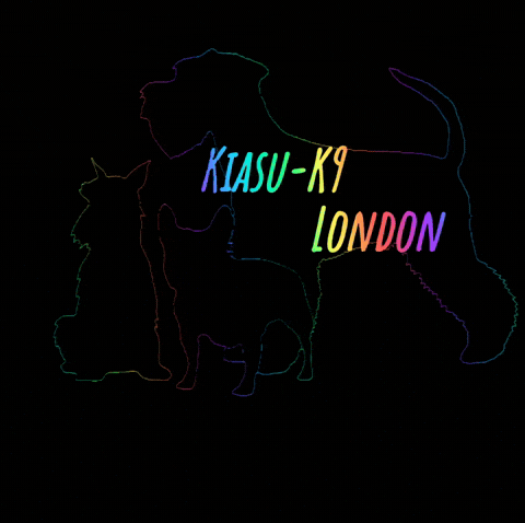 KK9DARA GIF