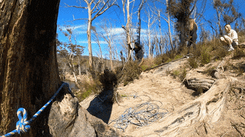 Fail GIF
