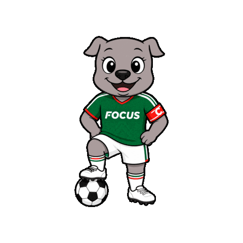 Focusteam Sticker by Focus Centros de Entrenamiento