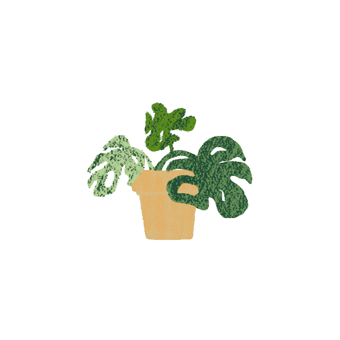Monstera Deliciosa Sticker