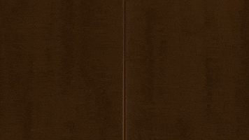 Happy Lets Go GIF by Pinocchio and Friends