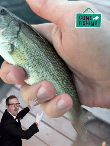 Fish GIF