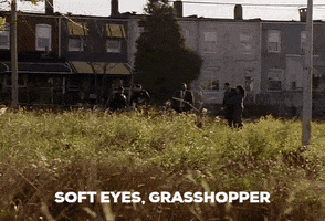 The Wire GIF by SchoolForTheDogs