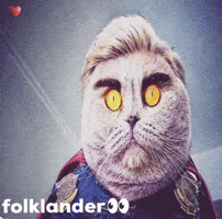Folk The Folks GIF