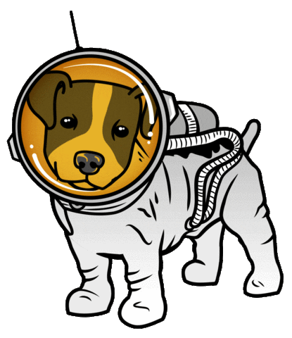 Sebe Boekhouders Sticker
