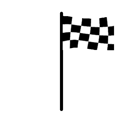 Car Racing Sticker by Autohaus Zellhofer