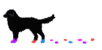 Dog Sticker