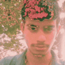 Hyderabad Loyola GIF