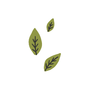 Beauty Leaves Sticker by Naturtint_USA