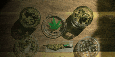 California Cannabis Testing Labs GIF