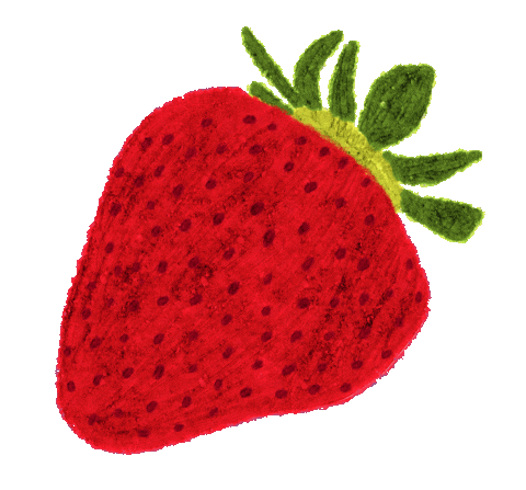 Source: Reut Rachel Levi