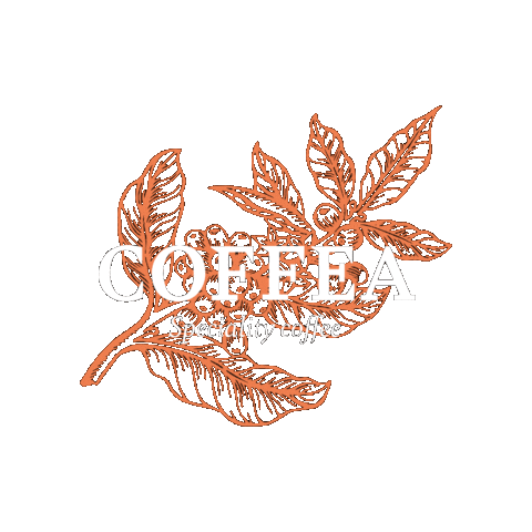 Coffea Sticker
