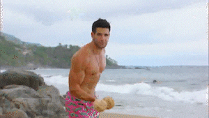 Beach Abc GIF by Bachelor in Paradise