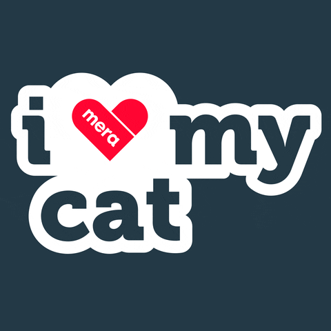 I Love Cat GIF by mera petfood