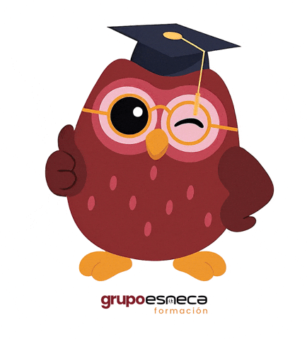 Owl Ok GIF by Grupo Esneca Formación