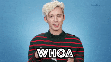 Hold On Wow GIF by BuzzFeed