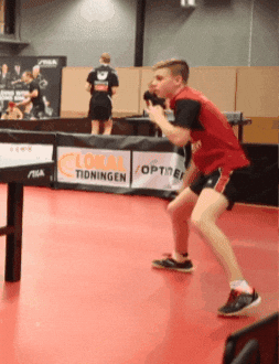 Ping Pong Swedish GIF by STIGA Sports