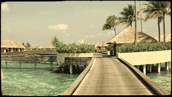 Carnaval de Québec GIF