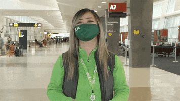Oh My Reaction GIF by Seattle-Tacoma International Airport