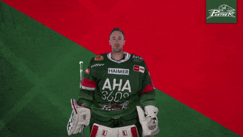 Hockey Save GIF by Augsburger Panther Eishockey GmbH