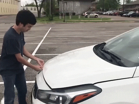 ODE Willie's Funky Bunch GIF