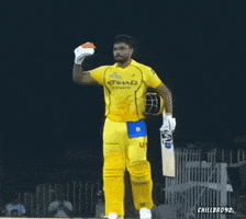 Chennai Super Kings Ipl GIF