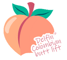 Delfin Machines Sticker